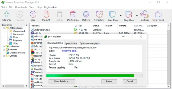 Internet Download Manager