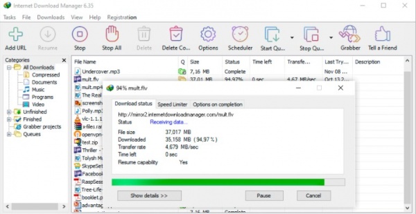 Internet Download Manager
