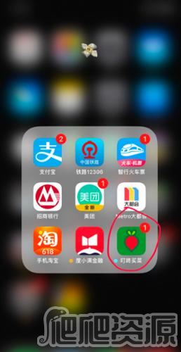 叮咚买菜app