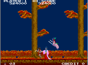 影子传说小霸王版