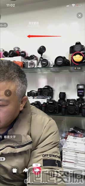 点淘app