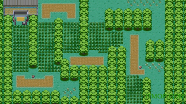 口袋妖怪梦的光点单机版