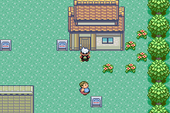 口袋妖怪究极绿宝石单机版