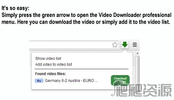 Video Downloader professional