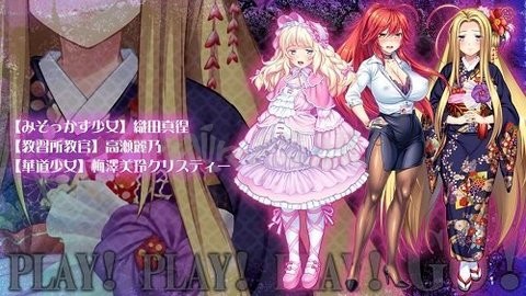 侵犯桃源乡go汉化直装版