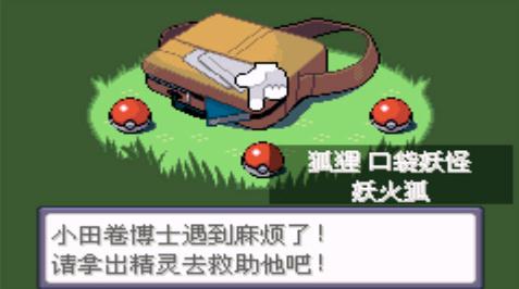 口袋妖怪错乱时空