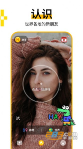 hay全球聊天私人版