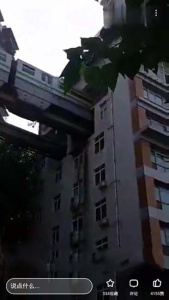 西西视频免费版