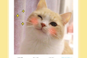 卡通头像制作免费软件