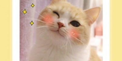 情侣头像另一半查找器手机软件合集