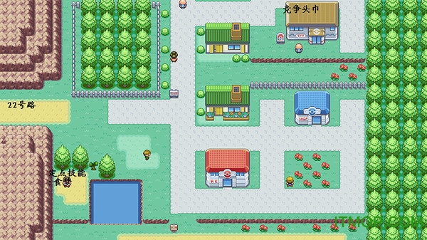 口袋妖怪梦的光点单机版