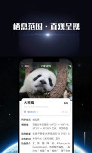 直播地球历史版