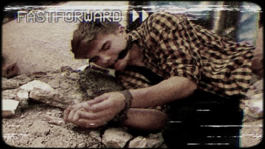 南斯拉夫之旅：导演剪辑版