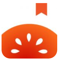 红果小说极速版