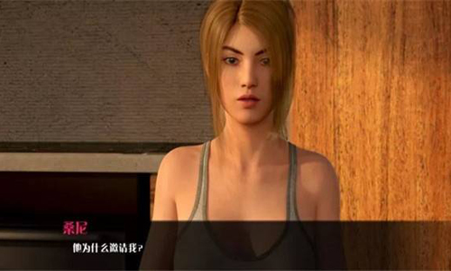 文化冲击困惑slg