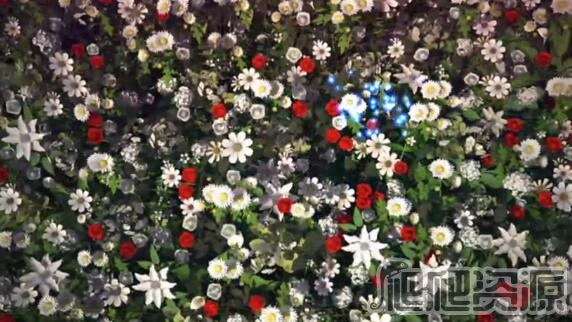 爱丽丝梦游仙境：隐藏之物