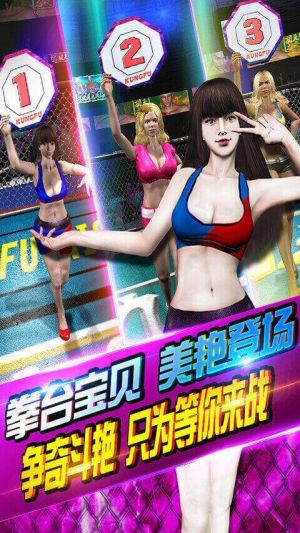 功夫之夜九游渠道服