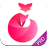 逍遥屋直播平台