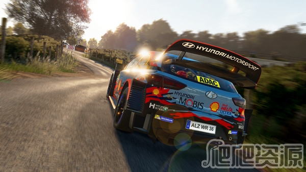 世界汽车拉力锦标赛8