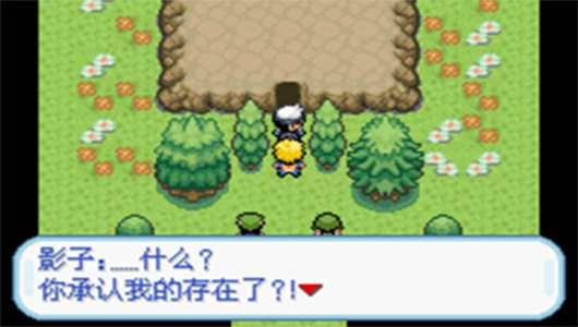 口袋妖怪秩序的崩坏