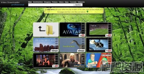 Video Downloader professional