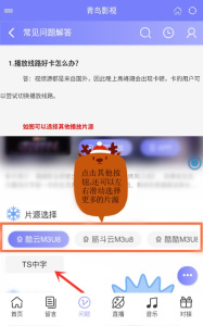 青鸟影视国际版