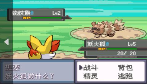 口袋妖怪错乱时空