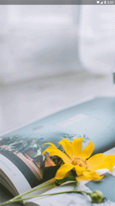 草莓小说官方最新版