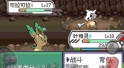 口袋妖怪究极绿宝石4三周年版