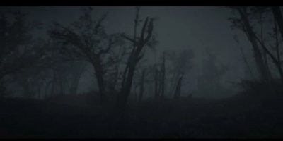 能随便看内部位的游戏手游合集