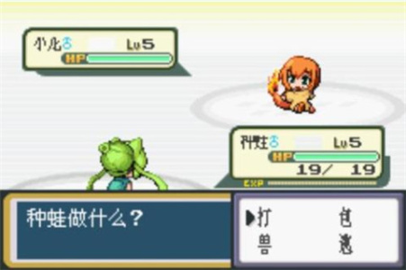 口袋妖怪火红汉化版