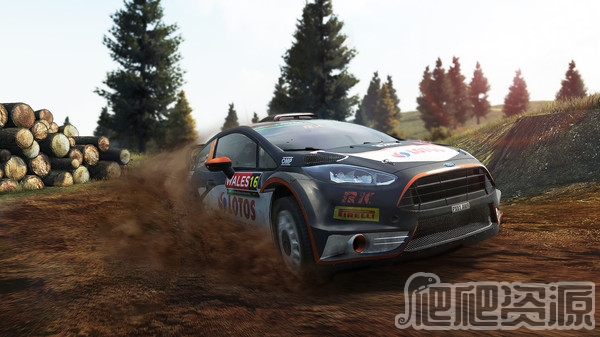 世界汽车拉力锦标赛5