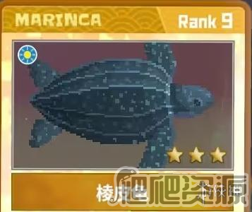 《潜水员戴夫》采藻人兹奇的宠物名字介绍