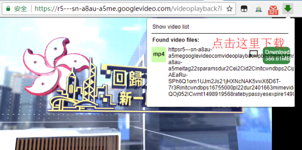Video Downloader professional