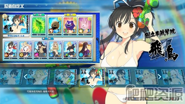 闪乱神乐：沙滩戏水