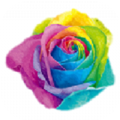 千花直播交友版