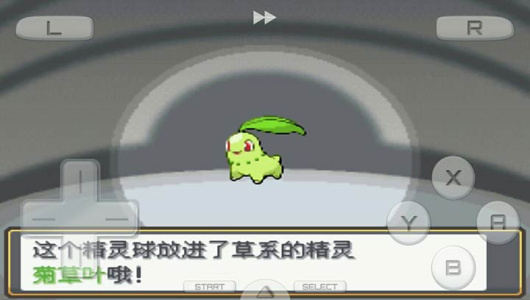 口袋妖怪心金美版