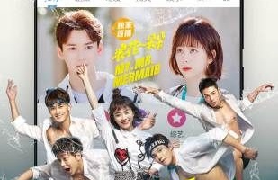 宅急看电影手机软件合集