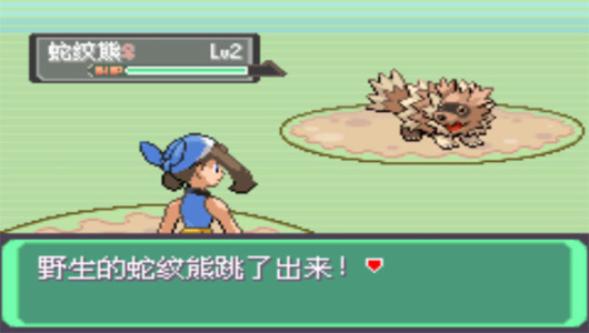 口袋妖怪漆黑的魅影官方正版