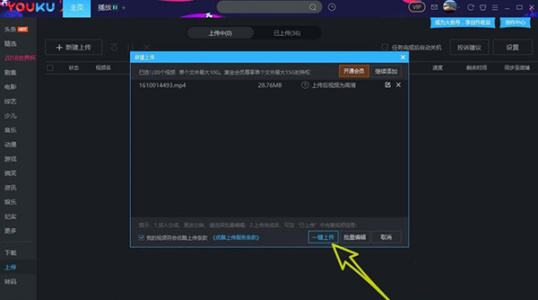 优酷客户端最新版
