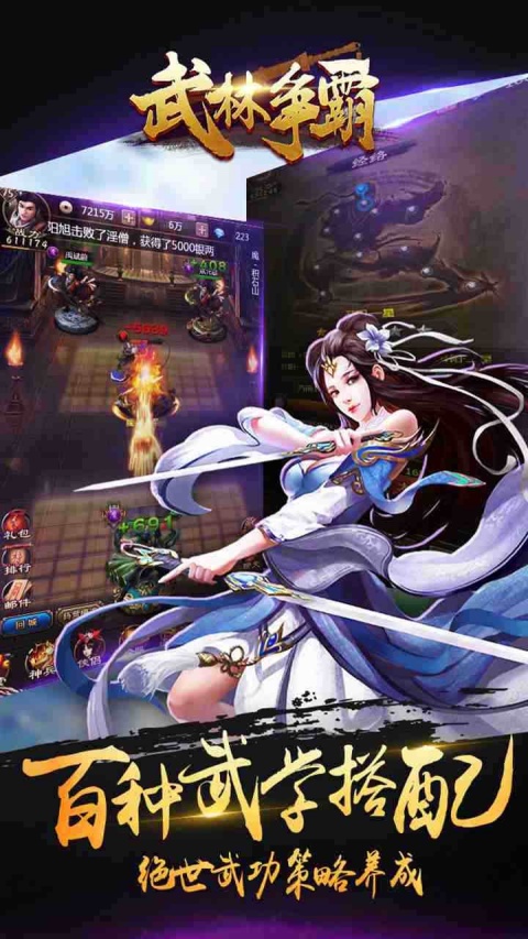 武林争霸折扣服