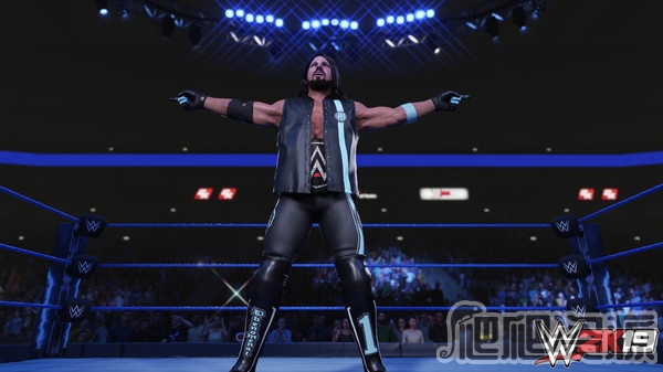 WWE 2K19