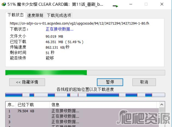 Internet Download Manager