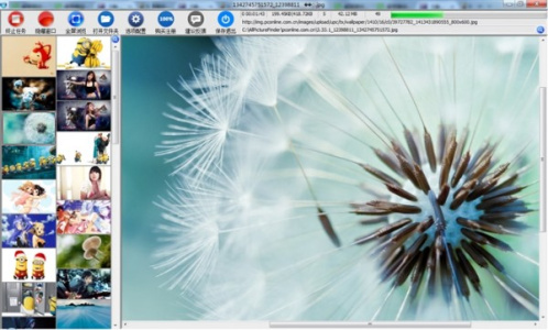 All网站图片批量下载器