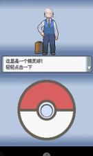 口袋妖怪钻石日文版