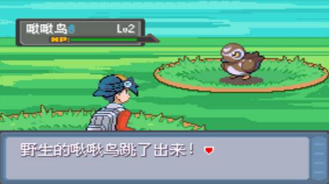 口袋妖怪错乱时空