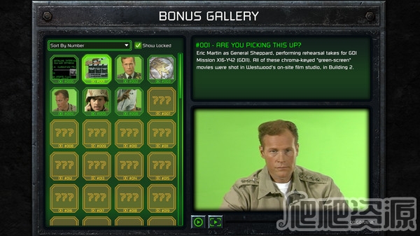 命运与征服：重制版