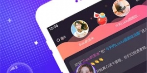 寻欢历史版本手机软件合集