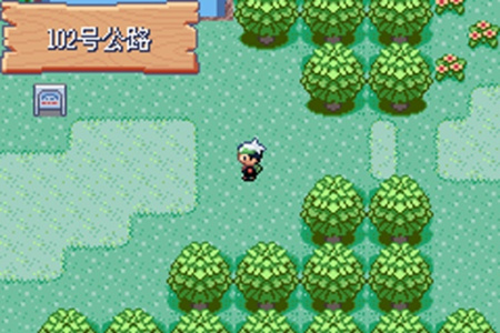 口袋妖怪究极绿宝石普通版