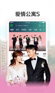 久久视频纯净版